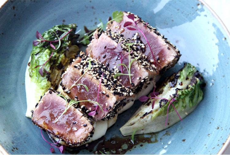 the_harbour_club_tuna_seen_in_the_city