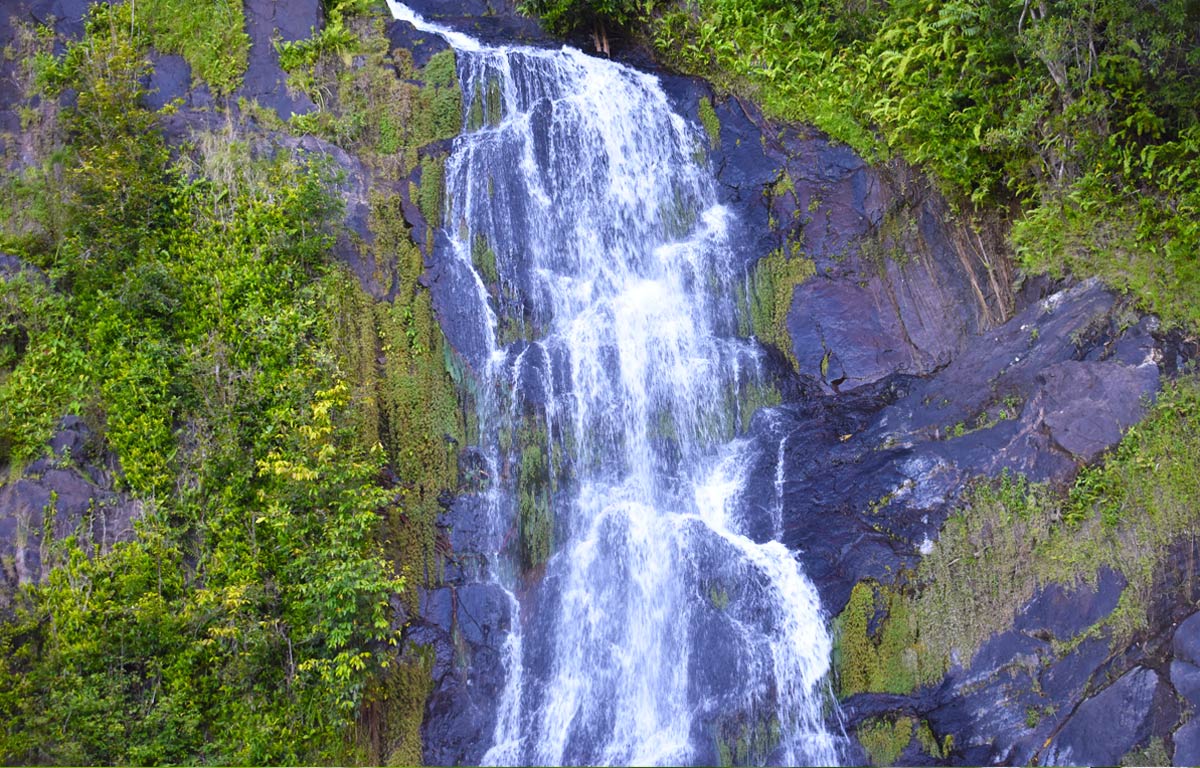 Kuranda Scenic Railway Queensland Australia