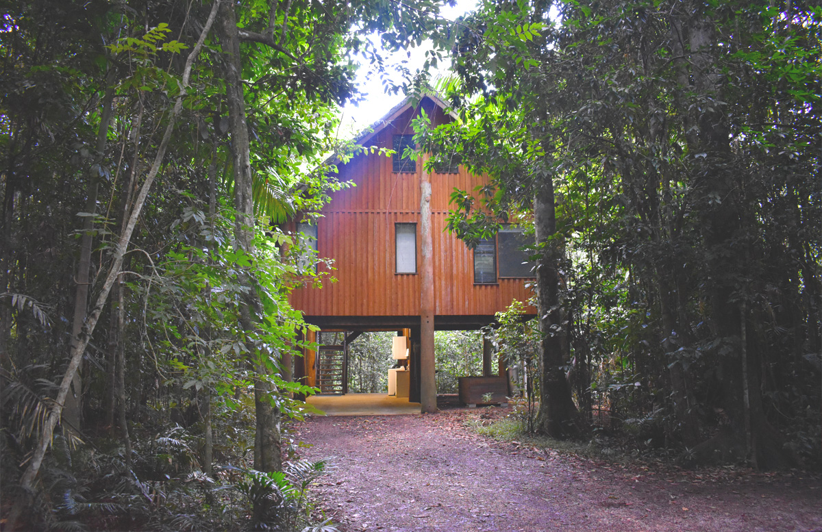 The Canopy Rainforest Treehouses & Wildlife-Sanctuary Queensland