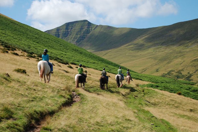 explore the Brecon Beacons