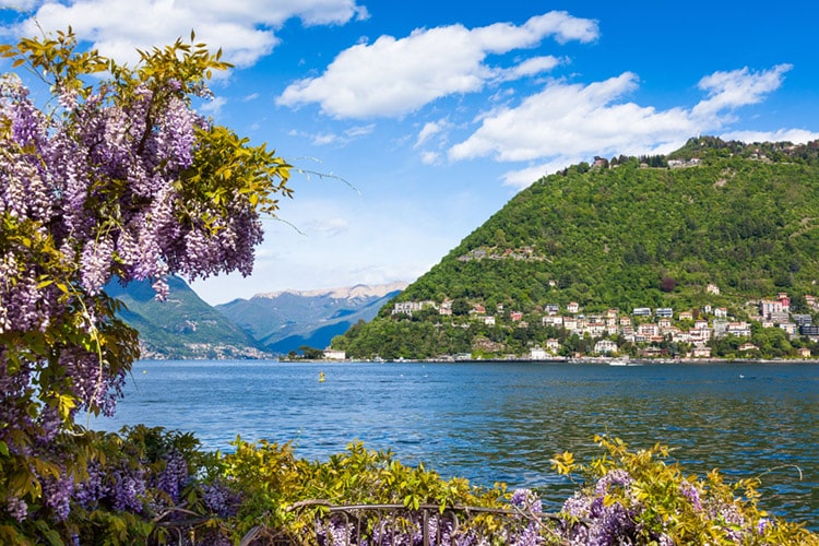 Top Scenic Train Journeys in Italy You Need to Try