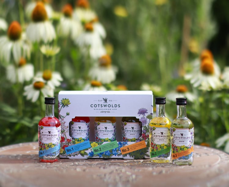 Gin tasting gift set Cotswolds