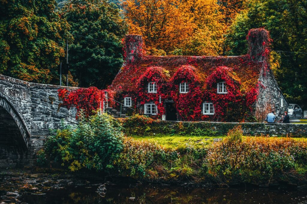 autumnal home decor UK