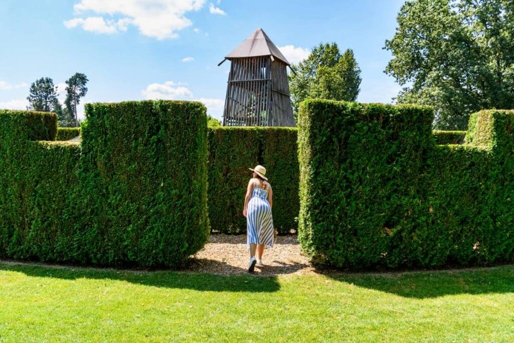 hedges for different-sized gardens