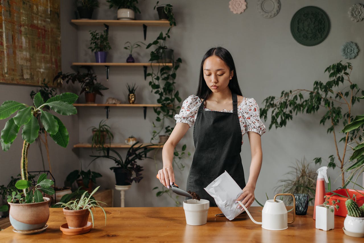 growing your own food in the city