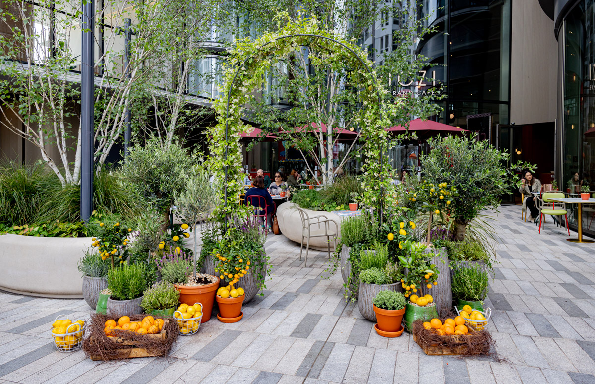 Tozi summer terrace battersea