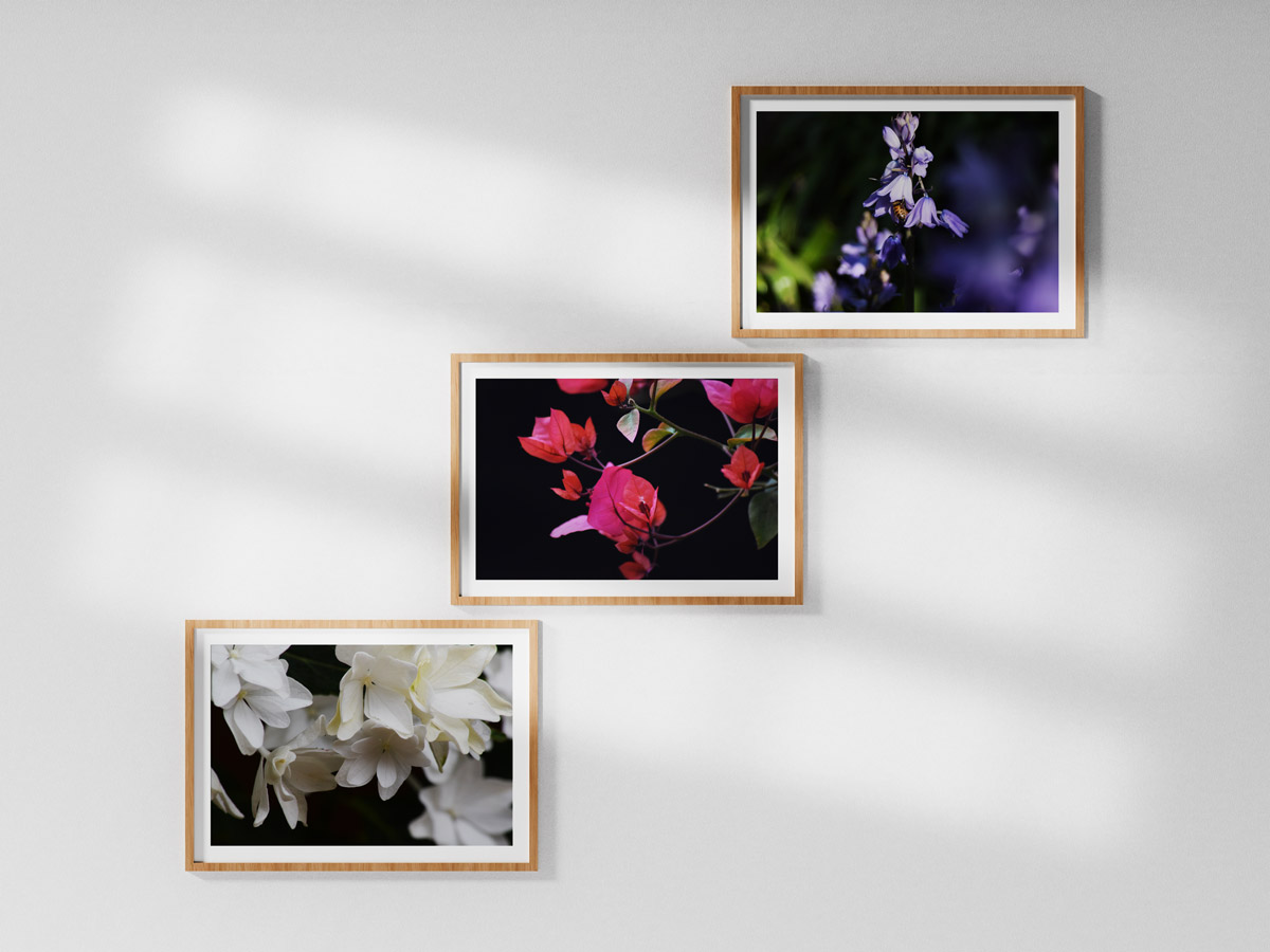 Redberry Photos