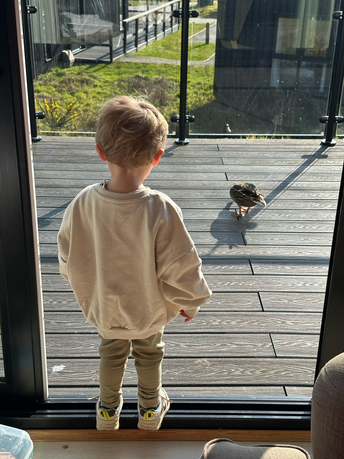 Away Resorts Retallack Cornwall Review
