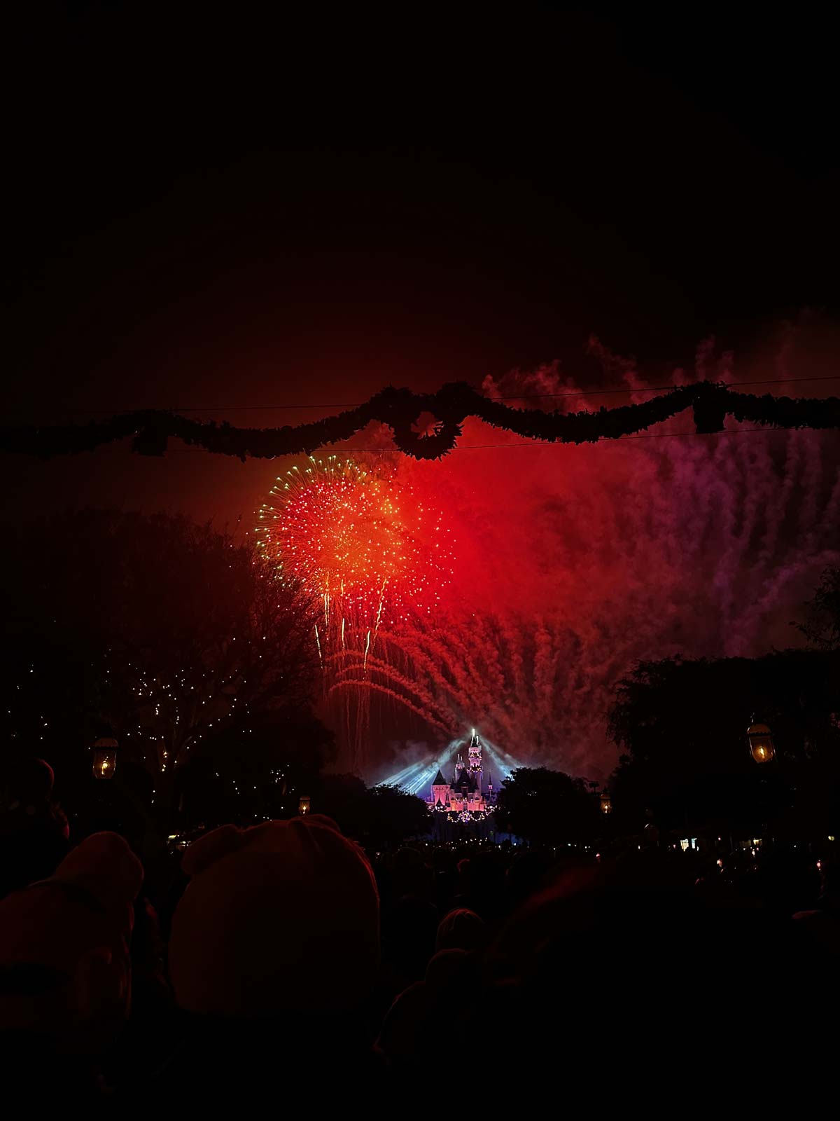 Disney Land LA