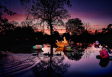 Glow Wild Wakehurst