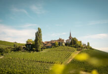 Why Vaud Needs to Be on Your Radar for 2026 Vous La Cote