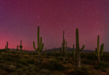 Why Scottsdale is the Ultimate Luxury Getaway for Astro-Enthusiasts arizona scottsdale dark skies astrotourism