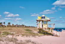 Things to do in Palm Beaches Beyond the Beach The Palm Beaches