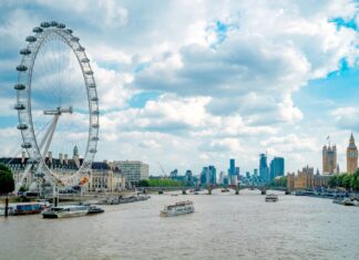 Dining Experiences in the City