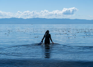 Why Seaweed Is More Than a Trend: Amanda Swinimer on Food, Wellbeing & Victoria, BC Amanda Swinimer Greater Victoria