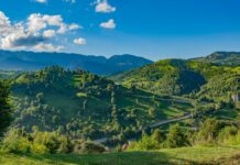 Romanian Road Trip