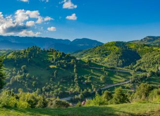 Romanian Road Trip