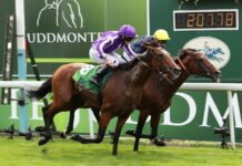 The Coolmore and Godolphin rivalry