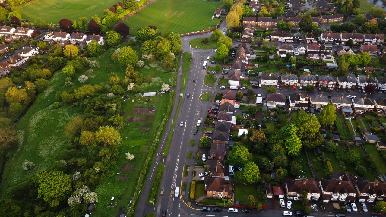 Cover Image Alt Text: A leafy, tree-lined residential street like those found across Wanstead in East London
