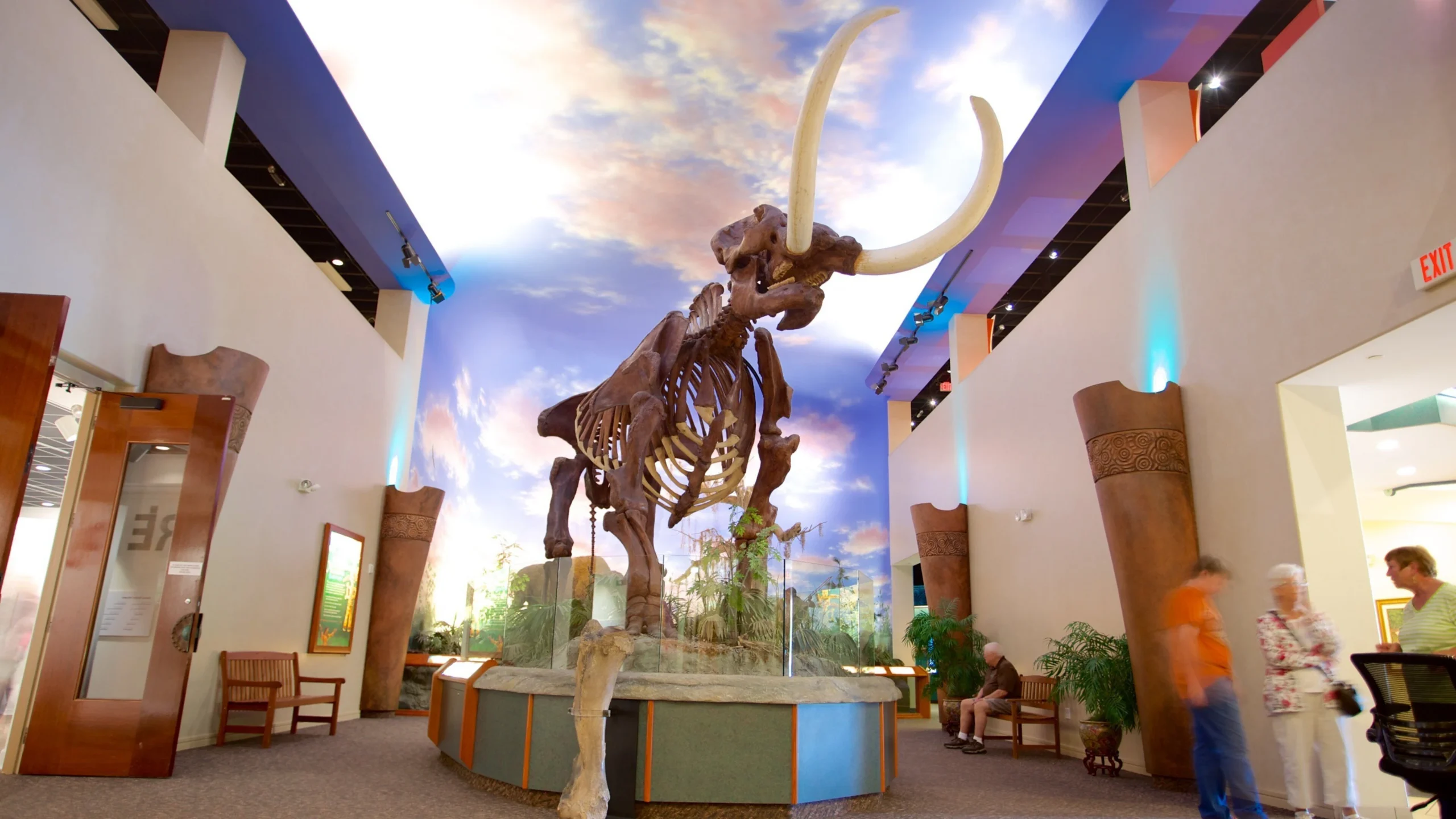 bishop museum of science and nature