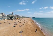 Where to Eat on Your Day Trip from London to Brighton Brighton Beach