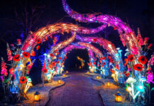 Glow Wild 2026: The Christmas Lights Trail Bringing Wakehurst to Life This Winter Glow Wild 2026 Christmas lights trail Sussex