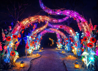 Glow Wild 2026 Christmas lights trail Sussex