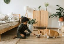 stainless steel pet fountain