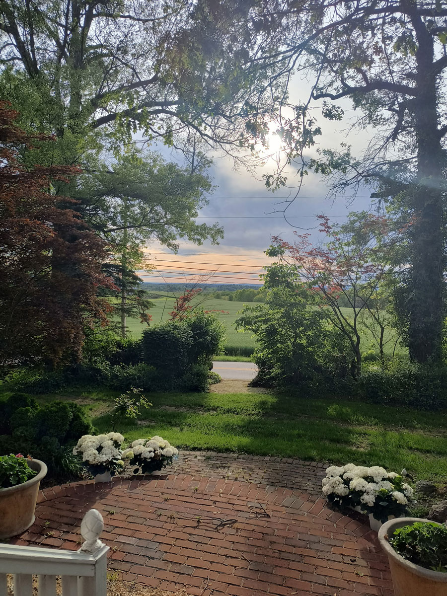 Sunday Morning at Savannah's
